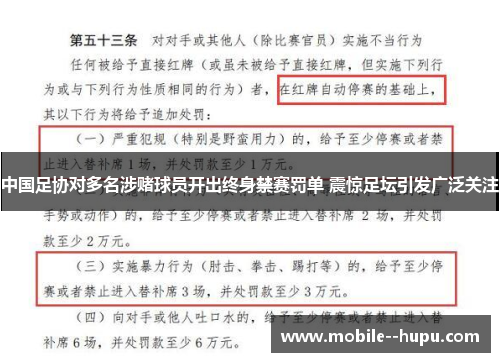 中国足协对多名涉赌球员开出终身禁赛罚单 震惊足坛引发广泛关注